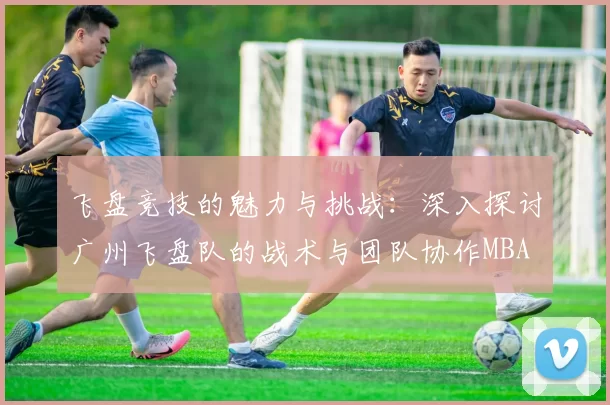 飞盘竞技的魅力与挑战：深入探讨广州飞盘队的战术与团队协作MBA