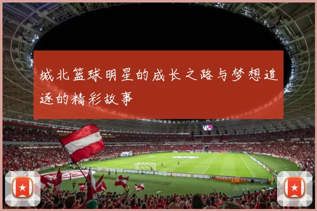城北篮球明星的成长之路与梦想追逐的精彩故事