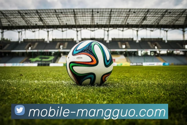 芒果体育服务体系