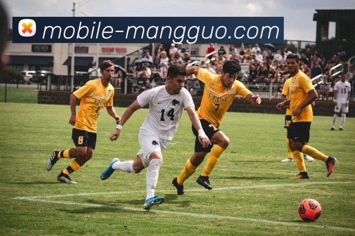 多媒体互动体验