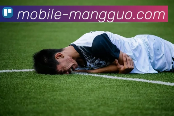 芒果体育APP 体育赛事宣传图